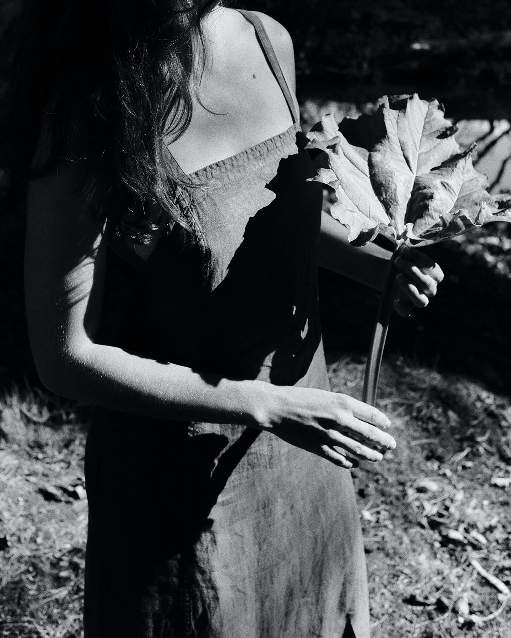 Reset Serum
