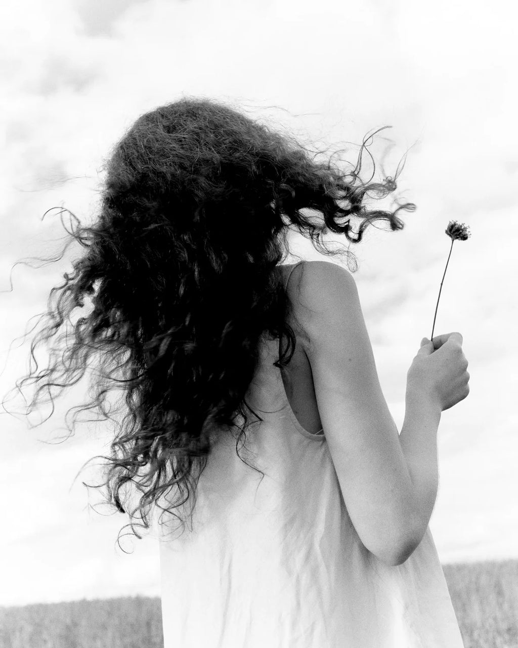 Root, Leaf & Zest - Botanical Shampoo